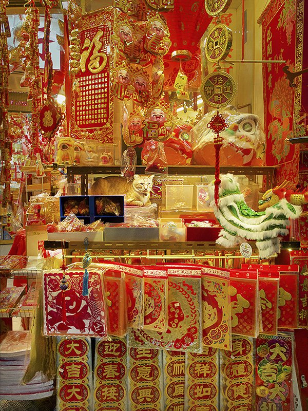 marcel heijnen摄影作品：香港的「铺头猫」
