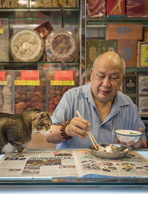 marcel heijnen摄影作品：香港的「铺头猫」